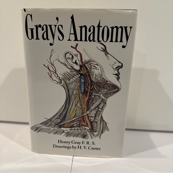 Other - Gray’s Anatomy by Henry Gray 1995 Edition Hardcover. Pre-owned Good Condition